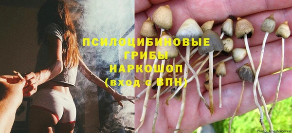 герыч Нязепетровск