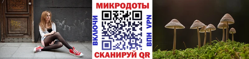 ОМГ ОМГ ссылки  Лесозаводск  Псилоцибиновые грибы Cubensis  наркота 